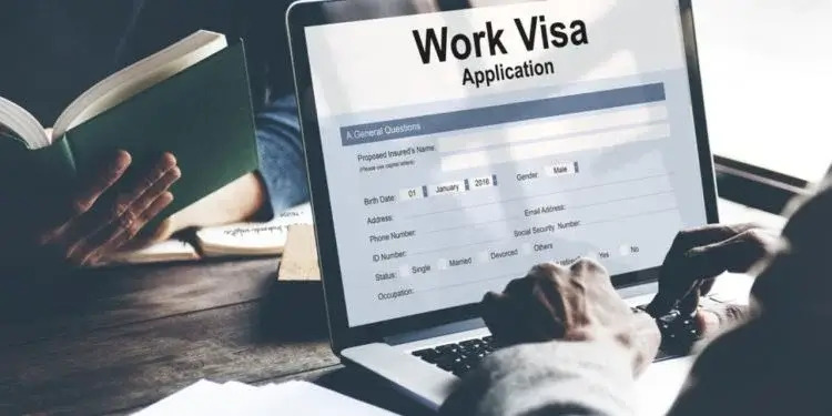 Work Permit and Job Seeker Visa